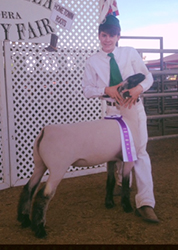 Supreme Chowchilla