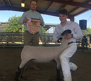 Dietz Winners