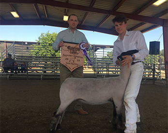 Dietz Winners