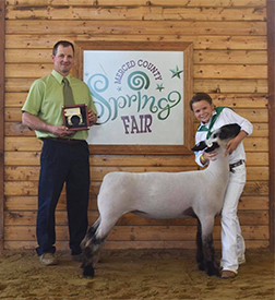 Dietz Club Lambs
