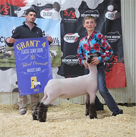 Dietz Club Lambs Winners