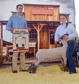 Dietz Club Lambs Winners