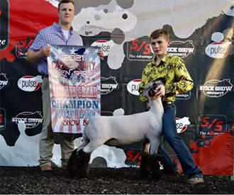 Dietz Club Lambs Winners