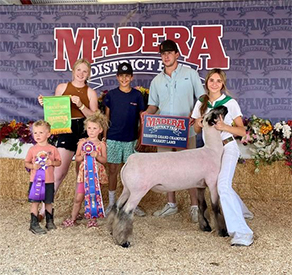 Dietz Club Lambs Winners